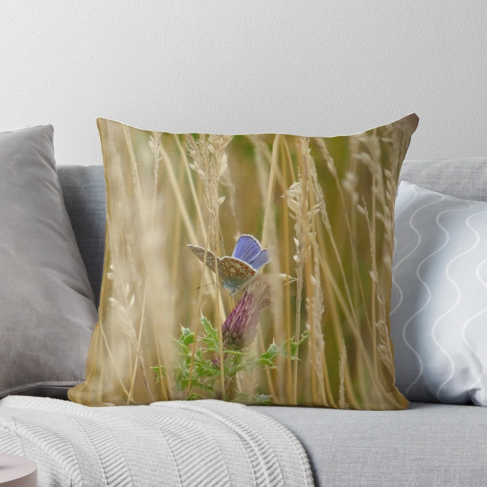 Adonis blue butterfly resting on grass, nature photography pillow