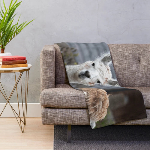 Curious alpacas printed on a soft, cozy plush blanket