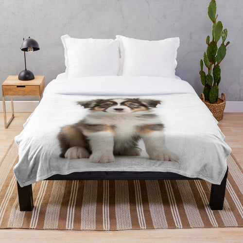 Adorable Australian Shepherd puppy plush blanket