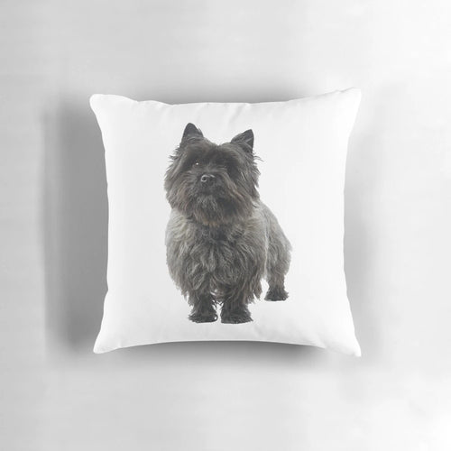 A cozy black cairn terrier dog pillow for dog owners and lovers