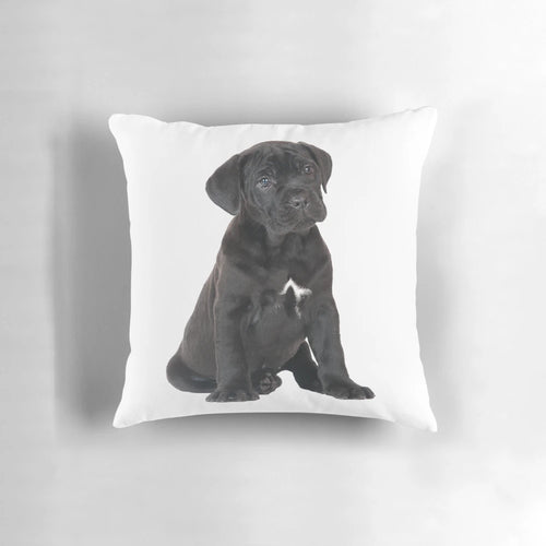 Soft, plush Cane Corso puppy pillow with realistic black fur design