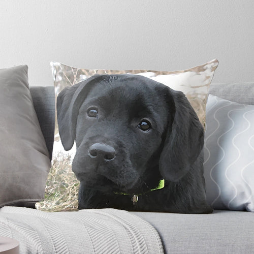Black labrador puppy resting on a decorative pillow
