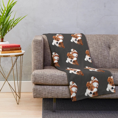 Cute Cavalier King Charles Spaniel puppy on a plush blanket