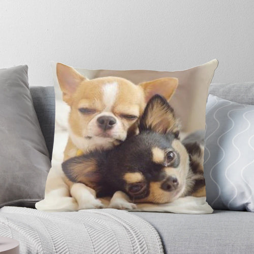Two cute Chihuahua puppies in a photograph printed on a decorative pillow