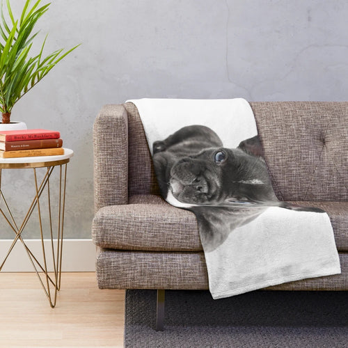 Soft and Cozy Plush Blanket Featuring a Cute French Bulldog Puppy Design