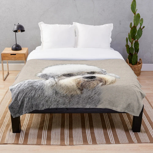 Cute Dandie Dinmont Terrier dog portrait on a plush blanket