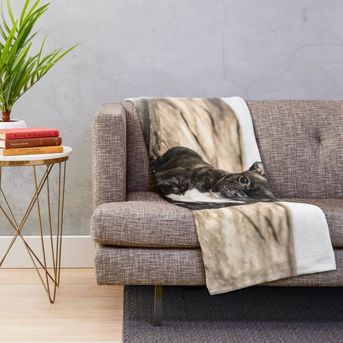 Soft and cozy plush blanket featuring a cute French bulldog puppy