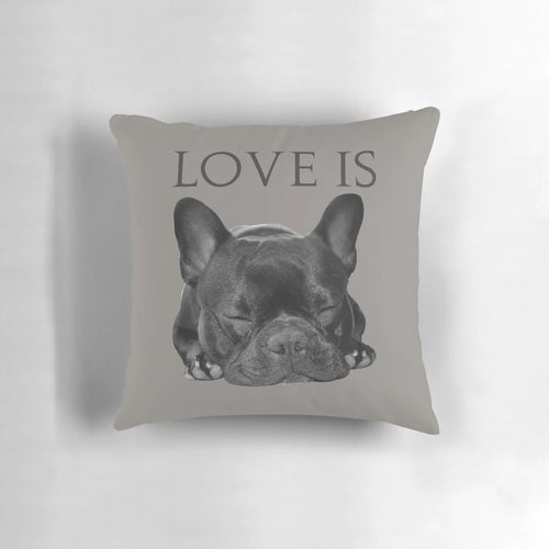 Soft, plush pillow featuring a cute French bulldog design