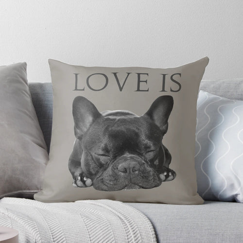 Soft, plush pillow featuring a cute French bulldog design