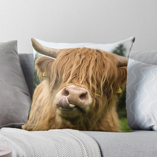 Soft, cozy pillow featuring a close-up image of a fluffy highland cow