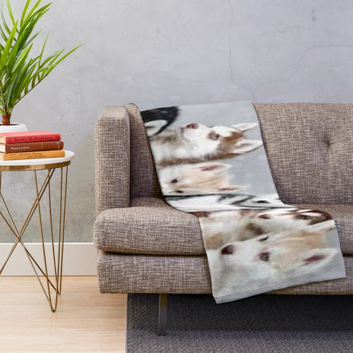 Soft and cuddly plush blanket featuring adorable husky puppies