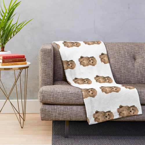 Cute Maltipoo Puppy on a Plush Blanket