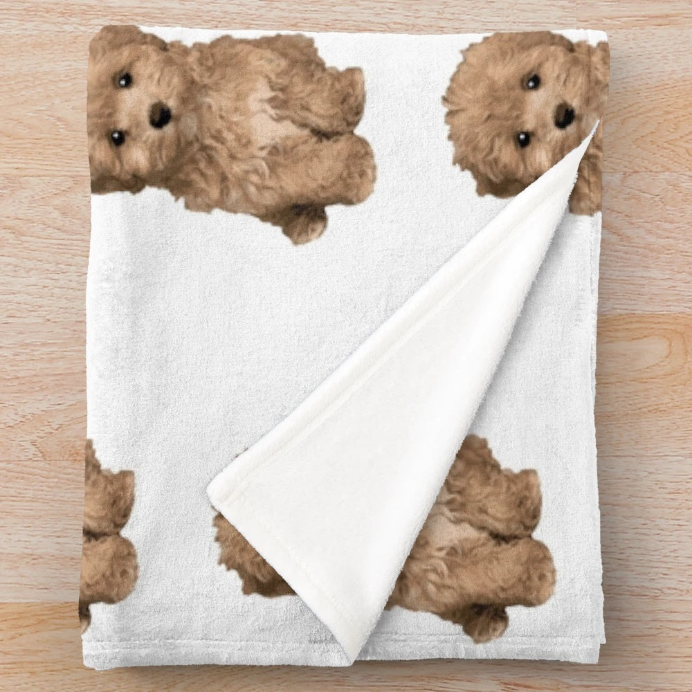 Cute Maltipoo Puppy on a Plush Blanket