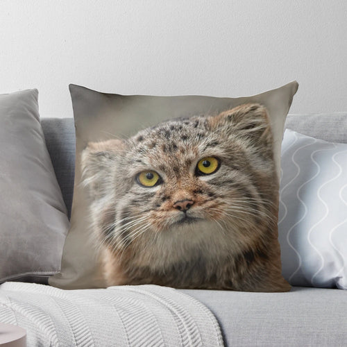 A soft, plush pillow featuring a striking portrait of a Pallas's cat, also known as a manul cat.