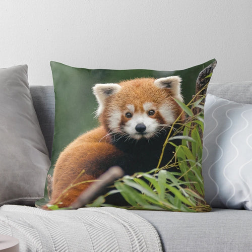 Soft and cuddly red panda pillow with a cute, adorable design