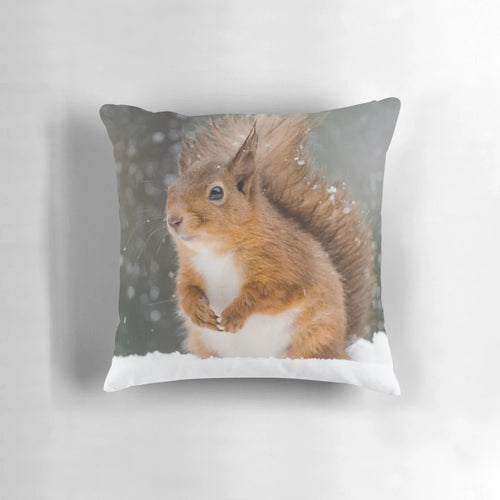 Closeup photo of a cute red squirrel on a white snowy background, perfect for a winter-themed plush pillow.