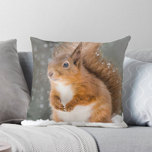 Closeup photo of a cute red squirrel on a white snowy background, perfect for a winter-themed plush pillow.
