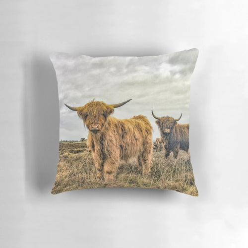 Fluffy and cute black and white Scottish Highland cow portrait on a soft, comfortable pillow.