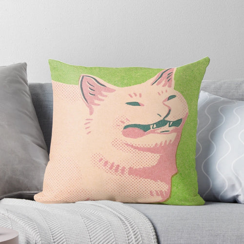 Soft, plush pillow featuring a humorous image of a cat sneezing, perfect for cat enthusiasts and meme fans.