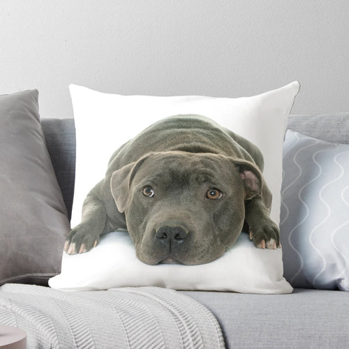 Soft and cuddly Staffordshire Bull Terrier puppy pillow with striking blue eyes