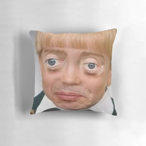 Plush throw pillow featuring the iconic Steve Buscemi "Boy" meme image