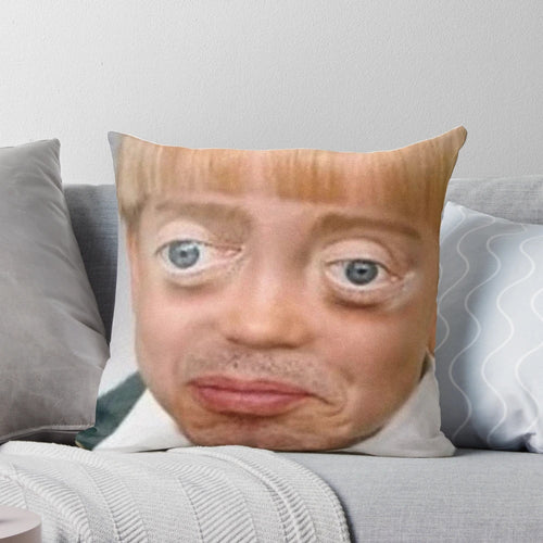 Plush throw pillow featuring the iconic Steve Buscemi "Boy" meme image
