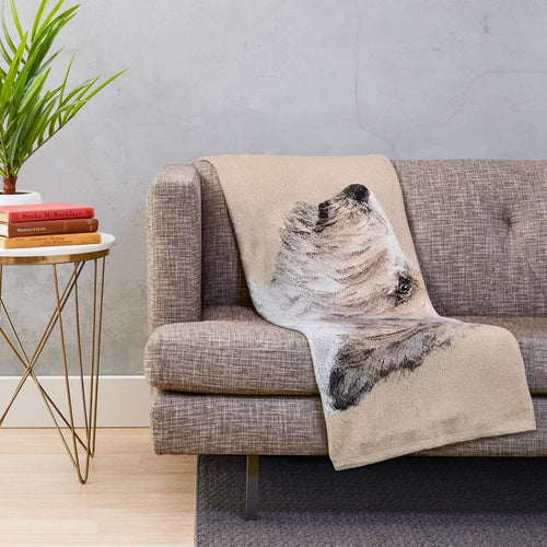 Petit Basset Griffon Vendéen (PBGV) dog portrait on plush blanket