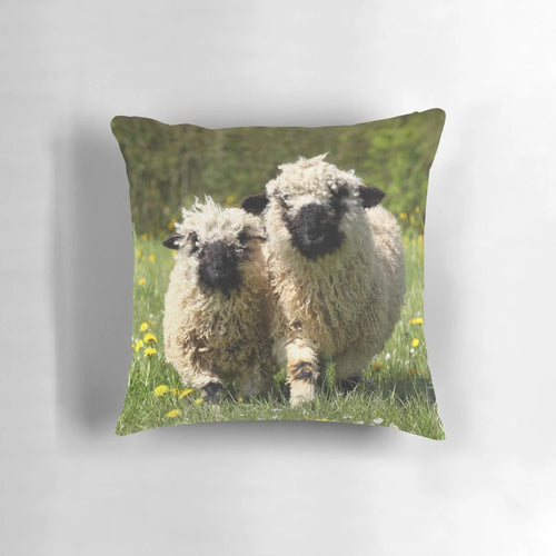 Soft and cuddly pillow featuring a photograph of a Valais black-nosed sheep