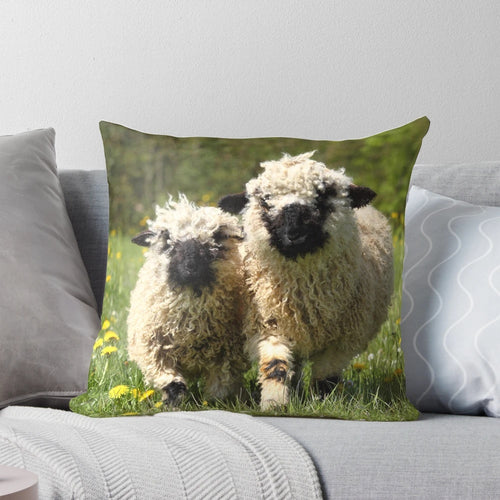 Soft and cuddly pillow featuring a photograph of a Valais black-nosed sheep