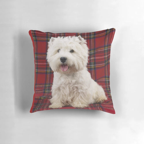 Adorable West Highland Terrier dog sitting on a Scotch plaid pattern pillow