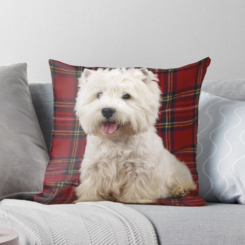 Adorable West Highland Terrier dog sitting on a Scotch plaid pattern pillow