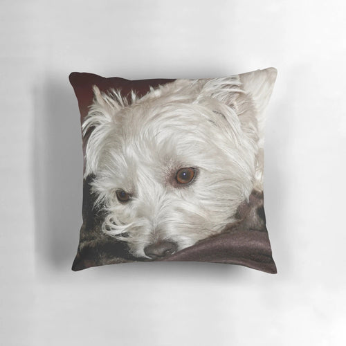 Soft, plush West Highland Terrier dog portrait on a pillow