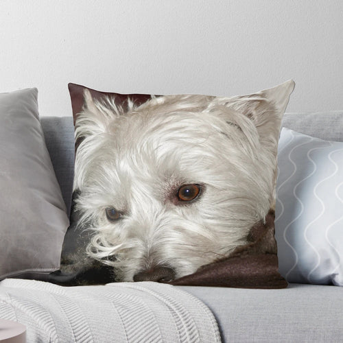Soft, plush West Highland Terrier dog portrait on a pillow