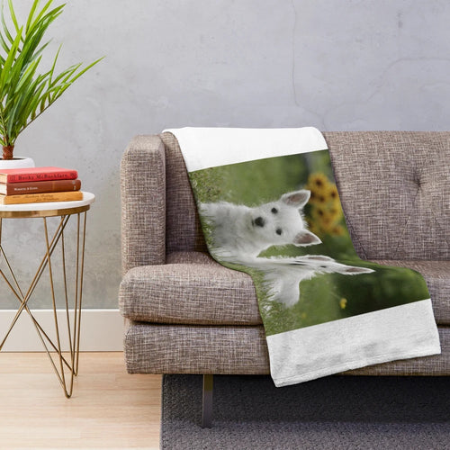 Soft and cuddly West Highland Terrier puppies on a plush blanket