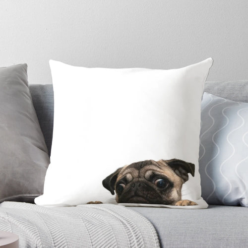 Close-up of a worried-looking pug dog on a plush pillow