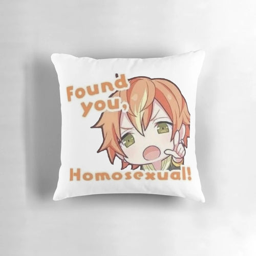 Akito Shinonome "Found You Homosexual" Project Sekai Anime Pillow