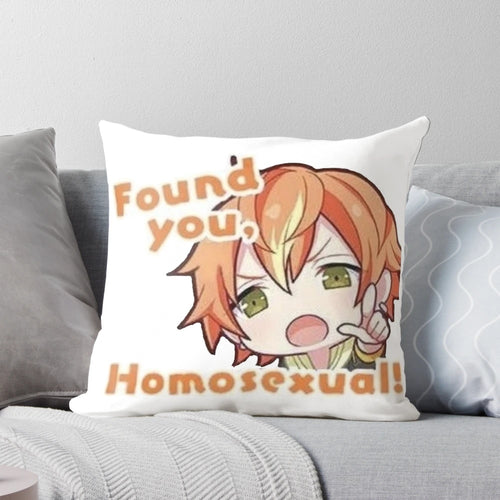 Akito Shinonome "Found You Homosexual" Project Sekai Anime Pillow