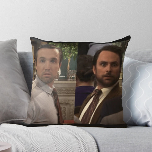 Always Sunny in Philadelphia Inspired Pillow Depicting Mac and Charlie