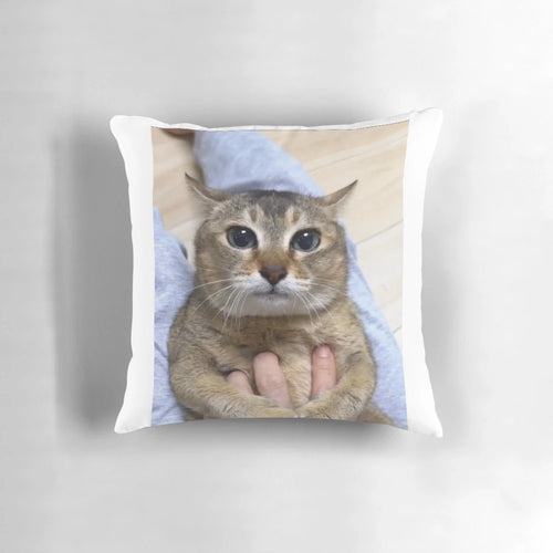 Vro cat tole tole design on a soft, comfortable pillow