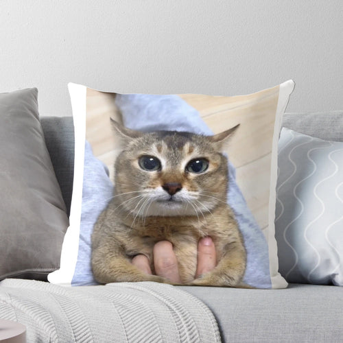 Vro cat tole tole design on a soft, comfortable pillow