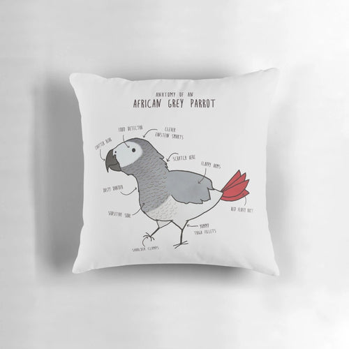 Detailed illustration of the anatomy of an African Grey parrot on a plush pillow