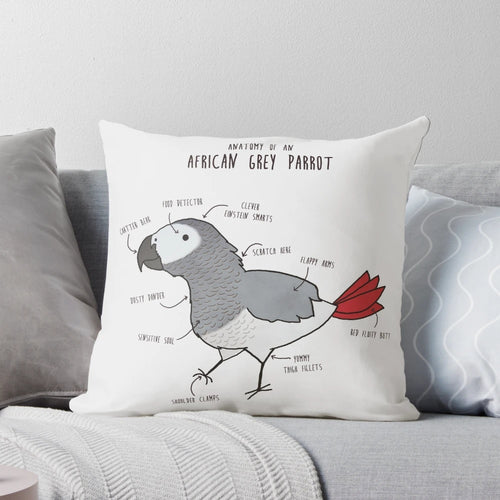 Detailed illustration of the anatomy of an African Grey parrot on a plush pillow