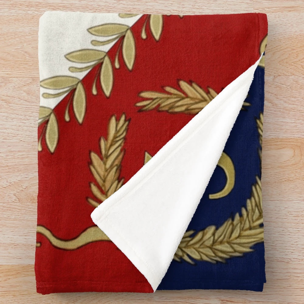 Napoleonic French '3me' regimental flag 1804 plush blanket