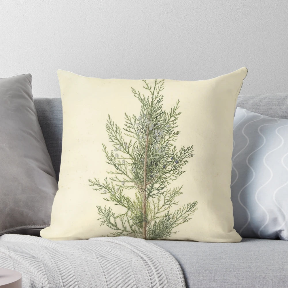 Botanical illustration of a juniper tree branch on a cozy pillow