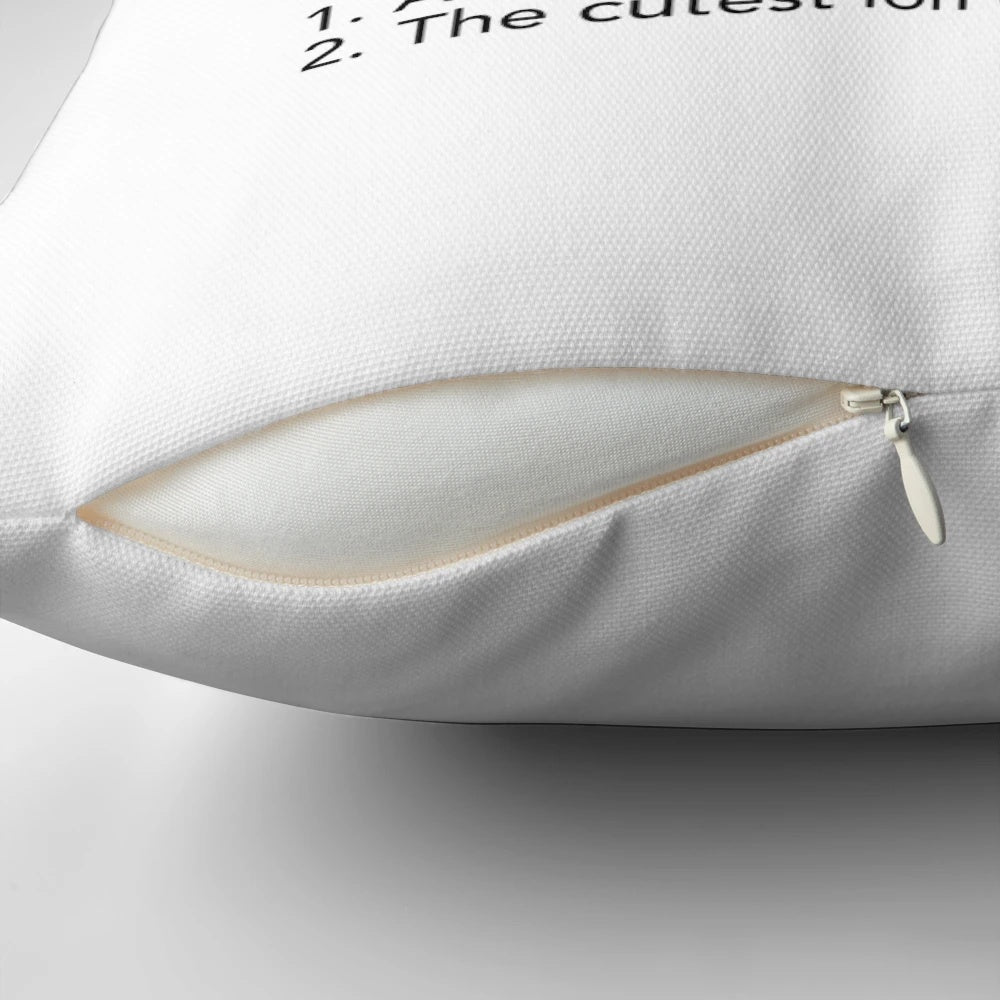 A pillow with a 'cation' cat pun design, perfect for science enthusiasts and cat lovers.