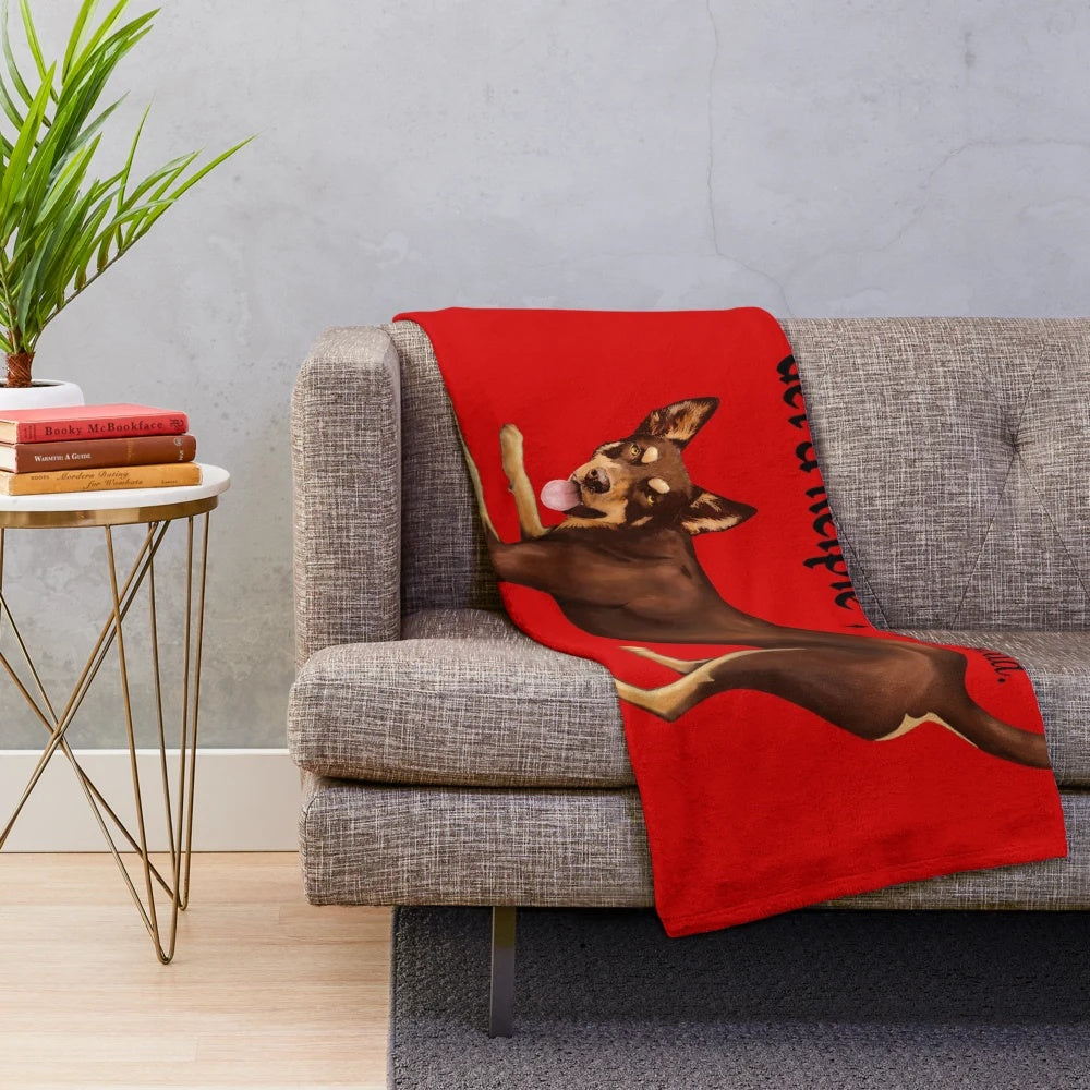 Australian Kelpie dog breed on a soft, plush blanket