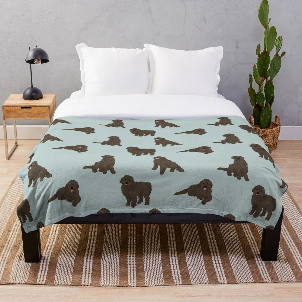 Labradoodle black doodle dog on a plush blanket