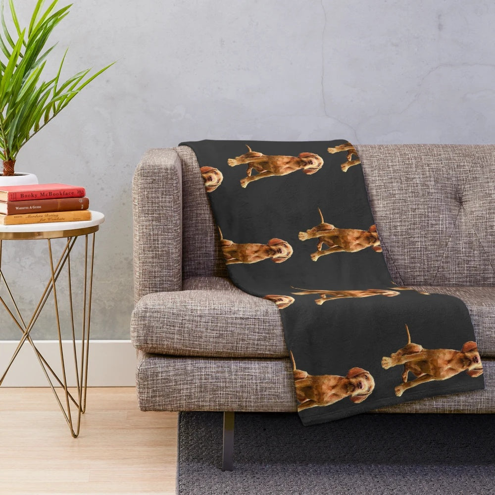 Wirehaired Vizsla dog breed on a plush blanket
