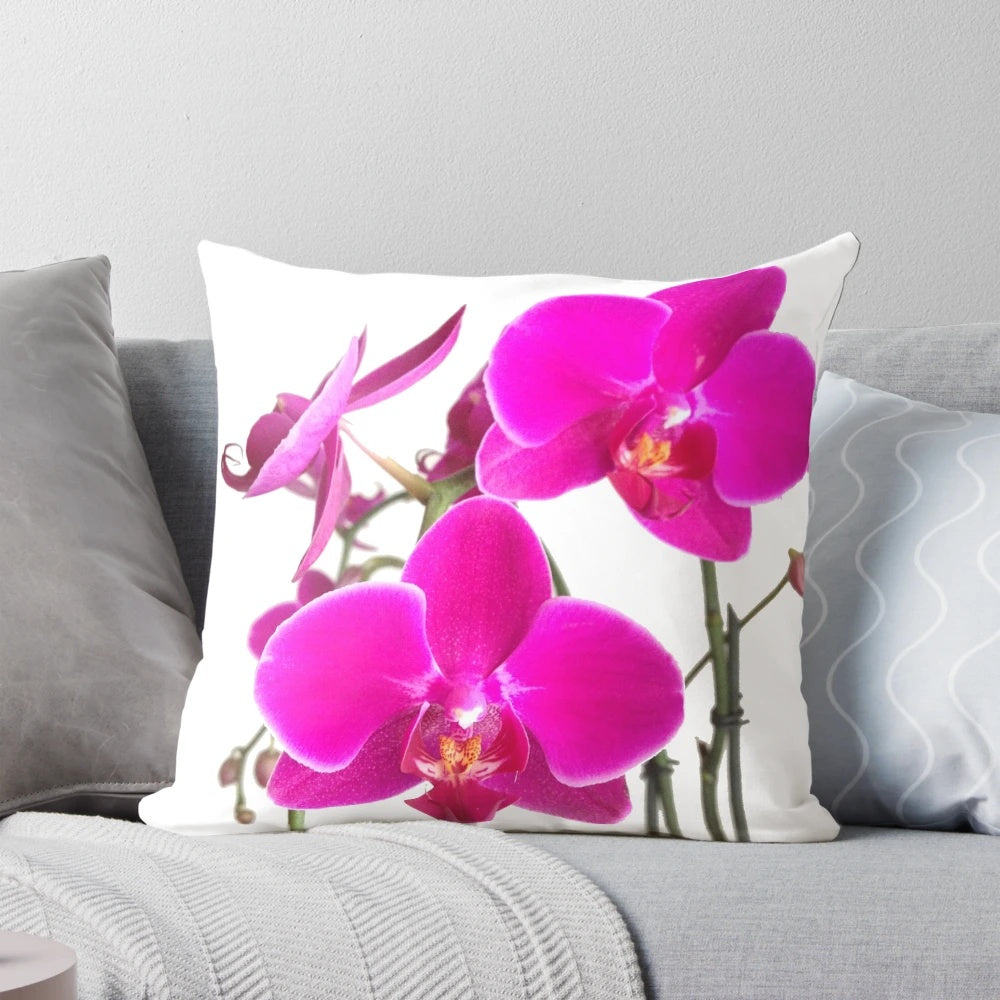 Close-up of a beautiful pink orchid flower on a plush pillow