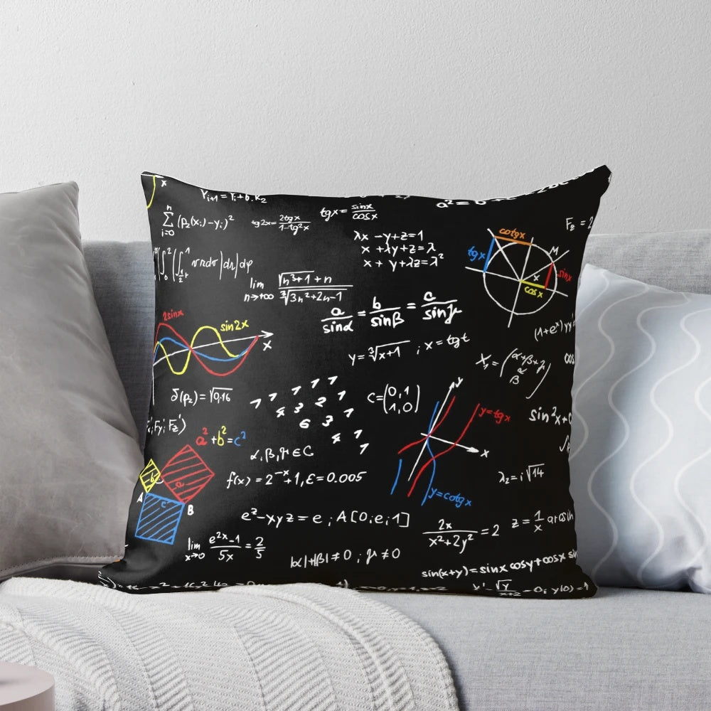 Plush pillow featuring physics and math equations, perfect for science enthusiasts.